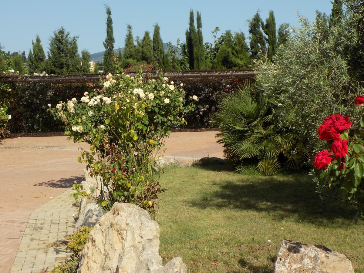 Villa Sorrentina 2*